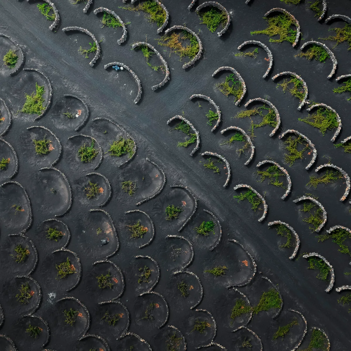 Kfz-Zulassungsservice in Hannover mit digitalem Prozess